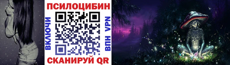 Галлюциногенные грибы Magic Shrooms  нарко площадка как зайти  Старица 